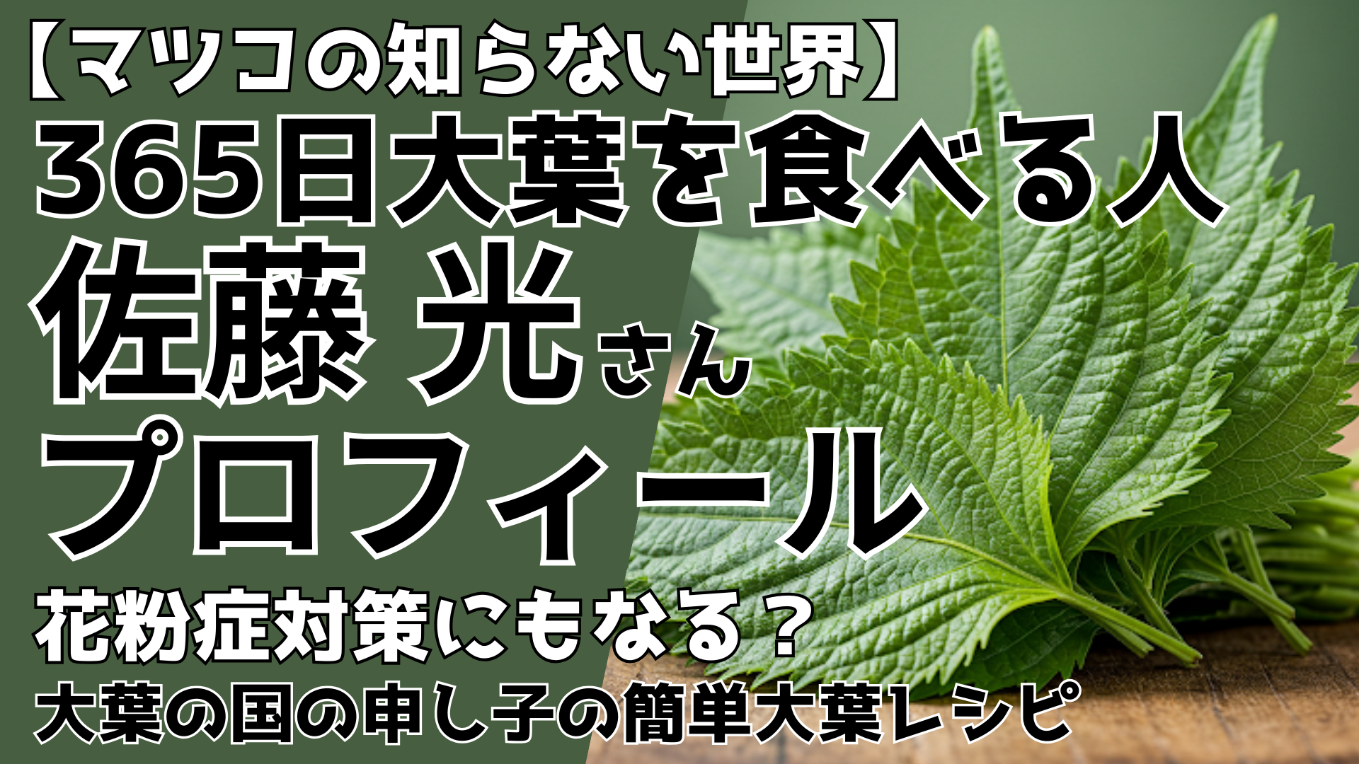 【マツコの知らない世界】佐藤光プロフィール！花粉症対策になる大葉レシピ！365日大葉を食べる人